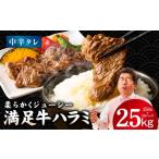 牛肉 ホルモン 満足牛ハラミ 中辛タレ漬け 合計2.5kg