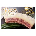 旬の鮮魚等 CJ144 すえひろ ブロック 100g×5個セット