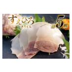 旬の鮮魚等 CJ143 すえひろ スライス 100g×5個セット