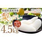 ふるさと納税 梨 福岡県 嘉麻市 家庭応援 梨 4.5kg+1玉 2025年8月上旬-12月上旬発送予定 ナシ フルーツ くだもの 福岡県 嘉麻市