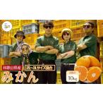 ふるさと納税 果物類 みかん 和歌山県 海南市 訳あり 森本農園の手選別 大玉みかん 約10kg 和歌山県産 2L・3Lサイズ混合 ［北海道・沖縄・離島配送不可］［202…