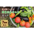 セット 詰合せ 丘の風ファーム 野菜詰め合わせセット