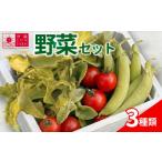 セット 詰合せ 伊藤SUN FARM 野菜セット