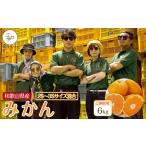 森本農園の手選別 小粒みかん 約6kg