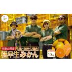 森本農園の手選別 極早生小粒みかん 約10kg