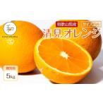 みかん 柑橘類 オレンジ 有田産清見オレンジ約5kg