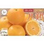 産はるかみかん約4.5kg サイズ混合