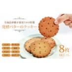 焼菓子 チョコレート クッキー 砂糖不使用