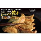 ふるさと納税 餃子 静岡県 藤枝市  創業50年 老舗ラーメン店が作る 手作り ジャンボ 冷凍餃子 30個入り 餃子 冷凍 冷凍食品 ぎょうざ ギョウザ ギョーザ おつ…