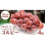 ゴルビー 4房 共通返礼品:大子町 ぶどう