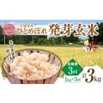 ふるさと納税 玄米 宮