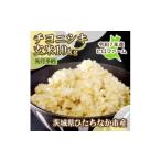 ふるさと納税 玄米 茨城県 ひたちなか市 先行予約・9月以降順次発送 令和7年産 新米チヨニシキ(玄米)10kg×1袋 茨城県ひたちなか市産 1644530