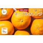 ふるさと納税 みかん・柑橘類 和歌山県 九度山町 訳あり 森本農園の手選別 大玉ネーブルオレンジ 約9kg 和歌山県産 2L~4Lサイズ混合 ［北海道・沖縄・離島配送…