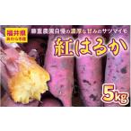 野菜類 サツマイモ 藤重農園自慢の濃厚な甘みのサツマイモ