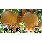 ショッピングふるさと納税 梨 ふるさと納税 梨 茨城県 牛久市 茨城県産 梨 豊水 サイズ おまかせ （ 3L〜4L ） 5kg （ 12〜14玉 ） 2026年9月上旬発送開始 (茨城県共通返礼品：大子町) 梨 …