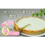 ケーキ カステラ チーズケーキ チーズケーキアントルメ