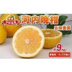 ふるさと納税 果物類 �