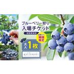 fu.... налог body . билет Tochigi префектура подлинный холм город предшествующий предварительный заказ голубика .. входить место билет взрослый 1 человек минут | голубика свежий .. body . Event body . взрослый 1 название минут | 1000...