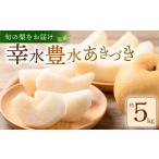 ふるさと納税 梨 千葉県 旭市 数量限定 先行予約 梨 約 5kg 12〜16玉 幸水 豊水 あきづき 旬 品種おまかせ 2025年 8月発送 予定 くだもの 果物 フルーツ なし…
