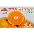 ふるさと納税 果物類 みかん 愛媛県 宇和島市 訳あり プチ みかん 南柑20号 10kg 杉本屋 わけあり 訳あり品 訳アリ 小玉みかん 小みかん 愛媛みかん 愛媛蜜柑 …