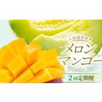 果物類 年2回定期便 メロン マンゴー 指定月発送