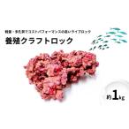 ハンドメイド 養殖クラフトロック 1kg