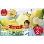 ふるさと納税 メロン メロン青肉 北海道 旭川市  先行予約 北海道産青肉メロン約1.3kg×2玉 (2026年7月中旬から発送予定) 果物 くだもの フルーツ メロン 青肉…