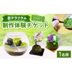 fu.... налог body . билет Osaka (столичный округ) . юг город мох террариум. произведение body . билет 1 имя кокэдама Work магазин мох koke растения 