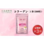 健康食品 定期便全3回 コラーゲン 1袋