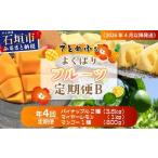 みかん 柑橘類 レモン 島のおいしいを贅沢に