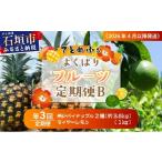 みかん 柑橘類 レモン 果物好きに 希少なパイナップル2品種…