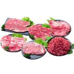牛肉 セット 年6回定期便 長崎和牛 トライアルコース