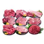 牛肉 セット 12回定期便 長崎和牛 プレミアムコース