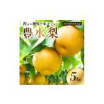 ふるさと納税 梨 栃木県 那須町 栃木県共通返礼品 JAなすの産 梨 豊水 5kg〔P-390〕 北海道・沖縄・離島への配送不可 2025年9月上旬〜9月下旬頃に順次発送予…