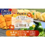 果物の詰合せ 島のおいしいを贅沢に パイナップル2種とマン…