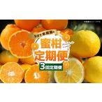 果物類 みかん 3回定期便 やまだ果樹園の柑橘定期便