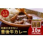 牛肉 カレー シチュー レトルトカレー 10食