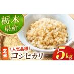 ふるさと納税 玄米 栃木県 真岡市 真岡市産 コシヒカリ 玄米 5kg |お米 米 白米 玄米 おにぎり 日本 主食 米 おいしい おこめ 5kg 10kg 20kg 30kg 栃木県 真岡…