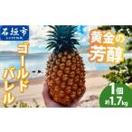 果物類 黄金の芳醇 ゴールドバレル 1玉