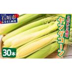 とうもろこし 2027年1月- 1番遅くて1番早い