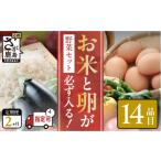 セット 詰合せ 野菜定期便 米 卵 2ヶ月 約14品