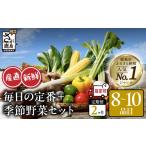 セット 詰合せ 野菜定期便 2回 野菜ソムリエ厳選