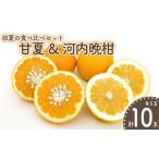 ふるさと納税 みかん