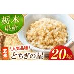 玄米 とちぎの星 20kg
