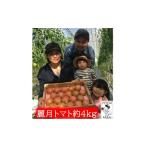 fu.... налог овощи вид помидор Okayama префектура высота . город 2026 год скорейший прием красота месяц помидор примерно 4kg овощи помидор ... Okayama префектура высота . город производство прямая поставка от производителя 