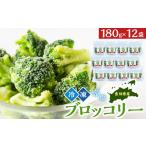 加工品等 JA 冷凍ブロッコリー12袋 ブロッコリー