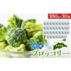 加工品等 JA 冷凍ブロッコリー30袋 ブロッコリー