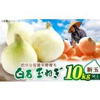 fu.... налог овощи вид шар лук порей Saga префектура белый камень блок новый шар лук порей 10kg одна сторона . сельское хозяйство .IDG001