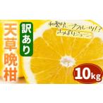 ふるさと納税 みかん・柑橘類 熊本県 苓北町 訳あり 天草晩柑 約10kg フルーツ 果物 くだもの 柑橘 晩柑 和製グレープフルーツ みかん ミカン 蜜柑 熊本県 苓…