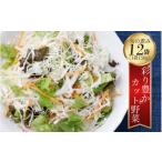 セット 詰合せ サラダ カット済 野菜 詰め合わせ